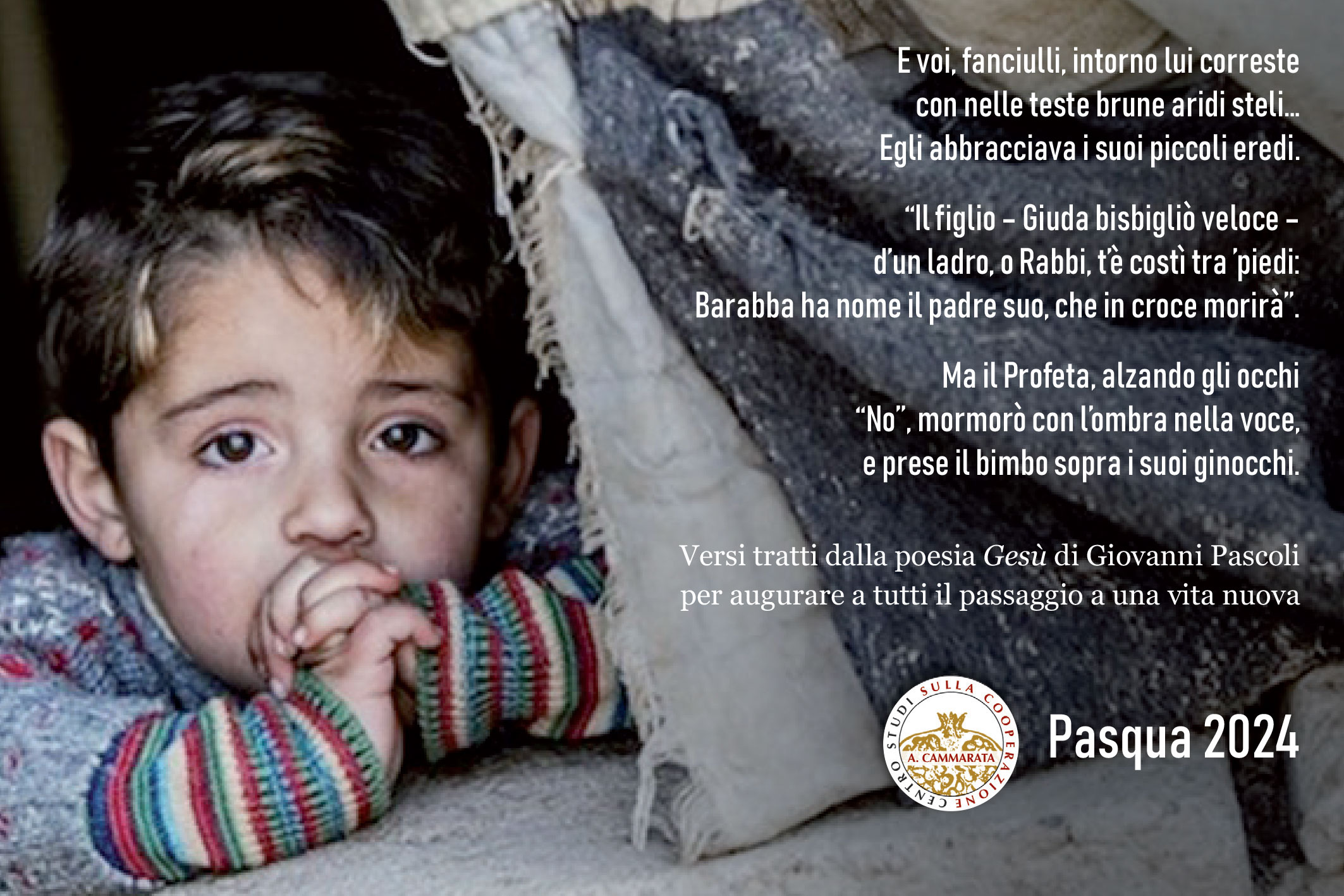 Auguri